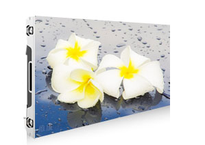 P1.5丝瓜视频黄色成人